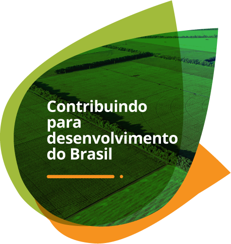 Contribuindo para desenvolvimento do Brasil